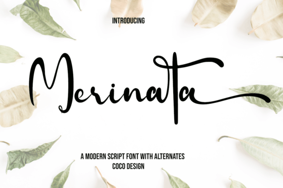 Merinata: A Handwritten Font That Delivers Refined Versatility